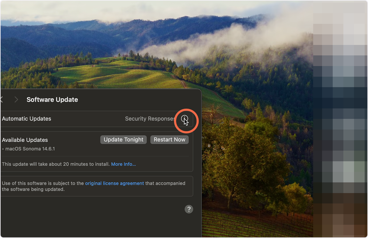 Select the information icon next to "Automatic Updates".