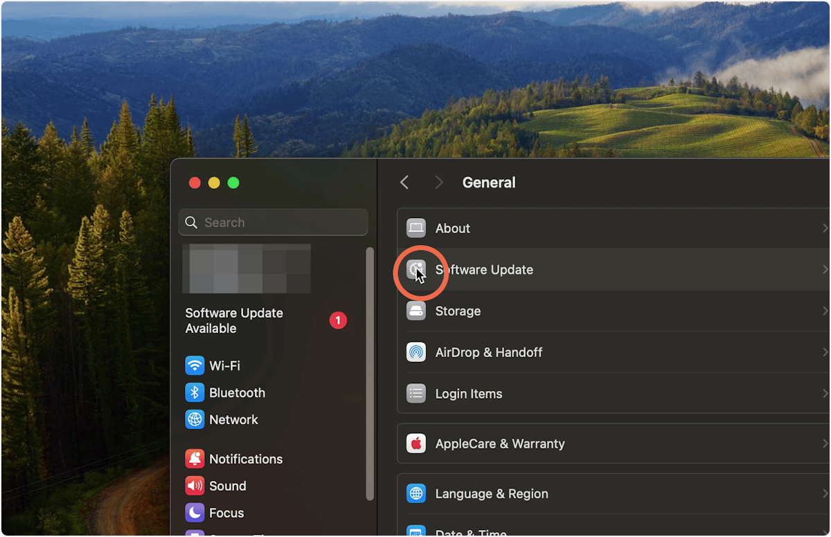Select Software Update.