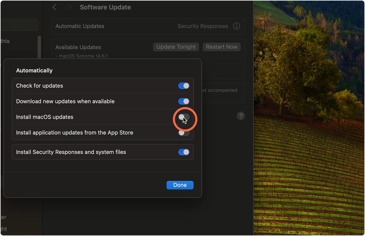 Ensure Install macOS updates is toggled off and click Done.
